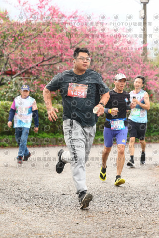 2026左岸竹東櫻花馬拉松Zhudong Sakura Marathon