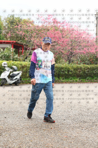 2026左岸竹東櫻花馬拉松Zhudong Sakura Marathon