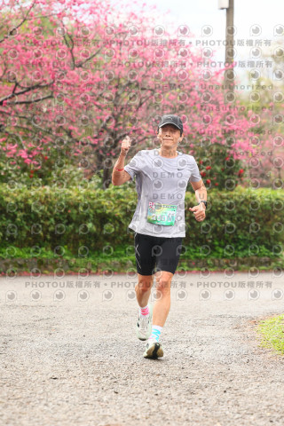 2026左岸竹東櫻花馬拉松Zhudong Sakura Marathon