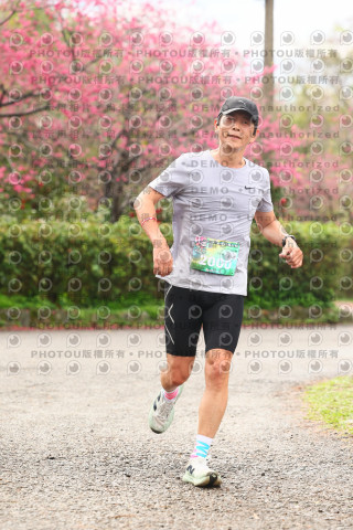 2026左岸竹東櫻花馬拉松Zhudong Sakura Marathon