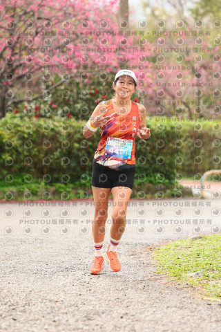 2026左岸竹東櫻花馬拉松Zhudong Sakura Marathon