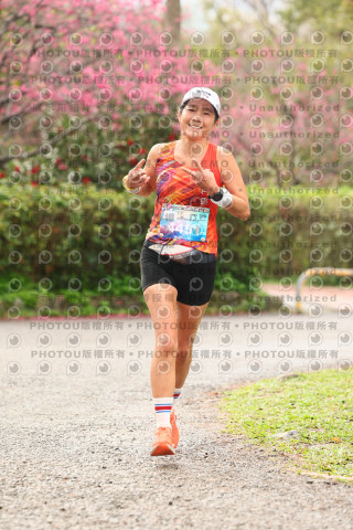 2026左岸竹東櫻花馬拉松Zhudong Sakura Marathon