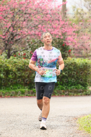 2026左岸竹東櫻花馬拉松Zhudong Sakura Marathon