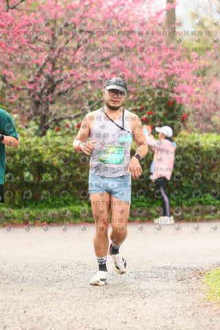 2026左岸竹東櫻花馬拉松Zhudong Sakura Marathon