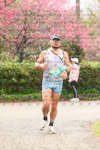 2026左岸竹東櫻花馬拉松Zhudong Sakura Marathon