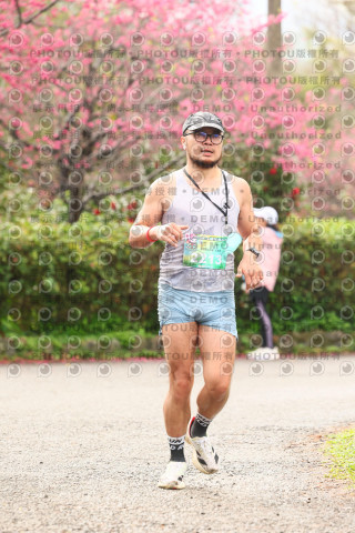 2026左岸竹東櫻花馬拉松Zhudong Sakura Marathon