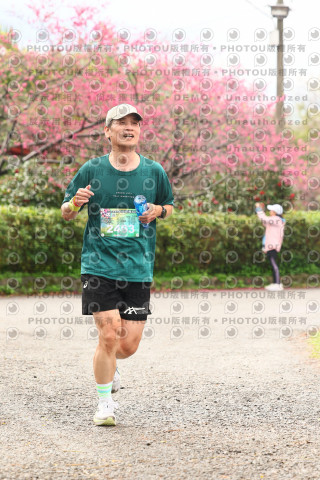 2026左岸竹東櫻花馬拉松Zhudong Sakura Marathon