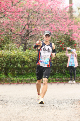 2026左岸竹東櫻花馬拉松Zhudong Sakura Marathon