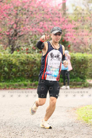 2026左岸竹東櫻花馬拉松Zhudong Sakura Marathon