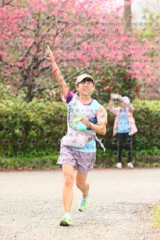 2026左岸竹東櫻花馬拉松Zhudong Sakura Marathon