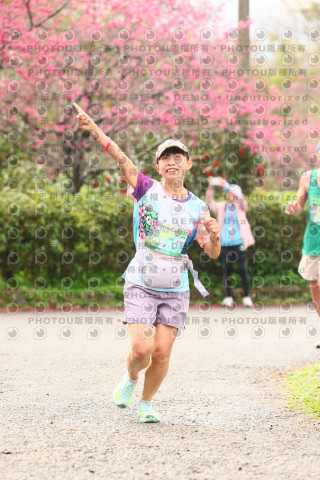 2026左岸竹東櫻花馬拉松Zhudong Sakura Marathon