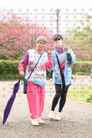 2026左岸竹東櫻花馬拉松Zhudong Sakura Marathon