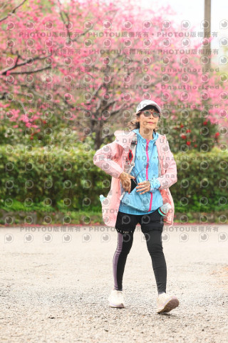 2026左岸竹東櫻花馬拉松Zhudong Sakura Marathon