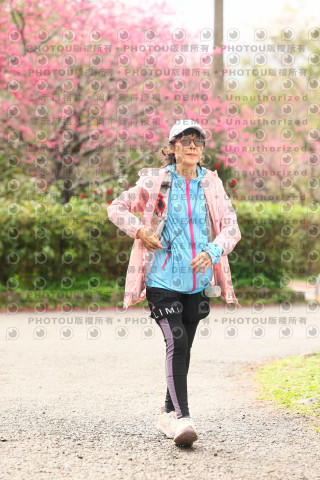 2026左岸竹東櫻花馬拉松Zhudong Sakura Marathon