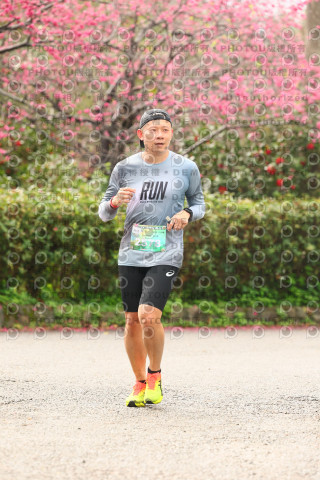 2026左岸竹東櫻花馬拉松Zhudong Sakura Marathon