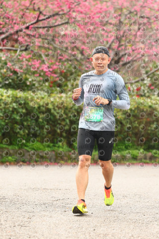 2026左岸竹東櫻花馬拉松Zhudong Sakura Marathon