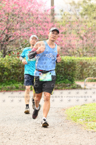 2026左岸竹東櫻花馬拉松Zhudong Sakura Marathon