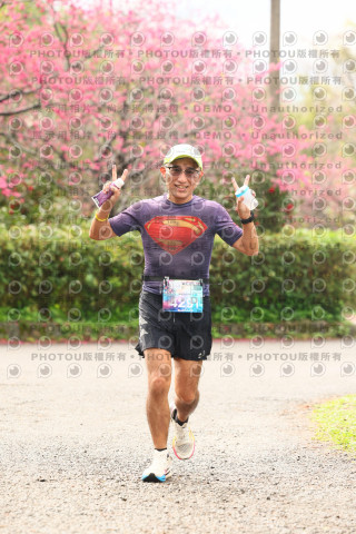 2026左岸竹東櫻花馬拉松Zhudong Sakura Marathon