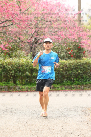 2026左岸竹東櫻花馬拉松Zhudong Sakura Marathon