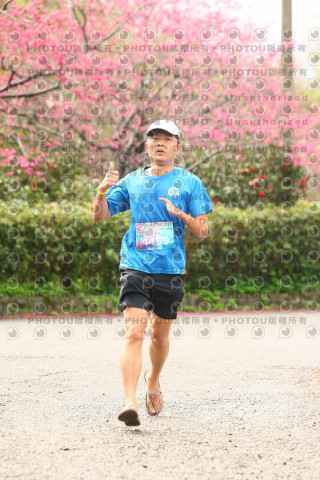 2026左岸竹東櫻花馬拉松Zhudong Sakura Marathon