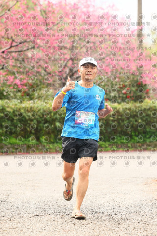 2026左岸竹東櫻花馬拉松Zhudong Sakura Marathon