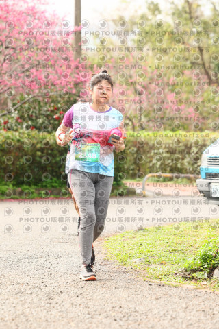 2026左岸竹東櫻花馬拉松Zhudong Sakura Marathon