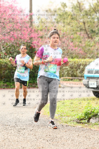 2026左岸竹東櫻花馬拉松Zhudong Sakura Marathon