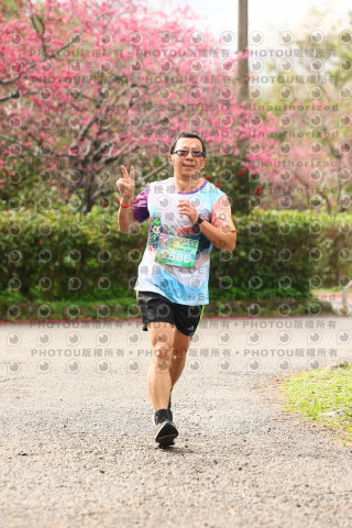 2026左岸竹東櫻花馬拉松Zhudong Sakura Marathon