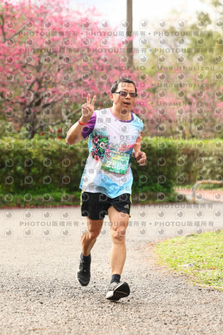 2026左岸竹東櫻花馬拉松Zhudong Sakura Marathon