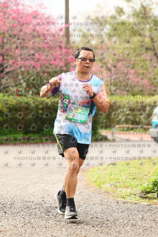 2026左岸竹東櫻花馬拉松Zhudong Sakura Marathon