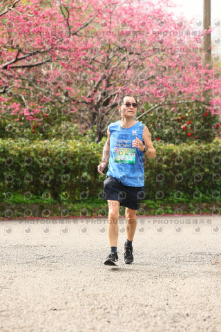 2026左岸竹東櫻花馬拉松Zhudong Sakura Marathon