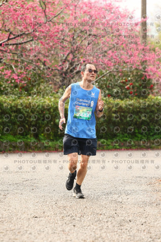 2026左岸竹東櫻花馬拉松Zhudong Sakura Marathon