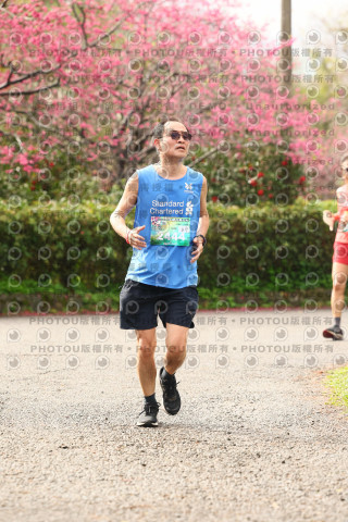 2026左岸竹東櫻花馬拉松Zhudong Sakura Marathon