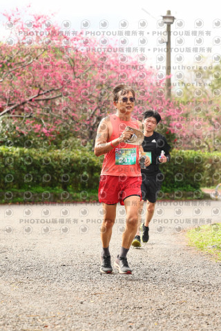 2026左岸竹東櫻花馬拉松Zhudong Sakura Marathon