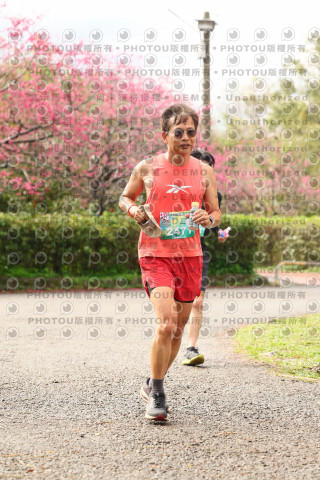 2026左岸竹東櫻花馬拉松Zhudong Sakura Marathon