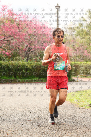 2026左岸竹東櫻花馬拉松Zhudong Sakura Marathon