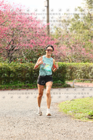 2026左岸竹東櫻花馬拉松Zhudong Sakura Marathon