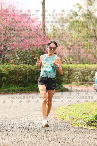 2026左岸竹東櫻花馬拉松Zhudong Sakura Marathon