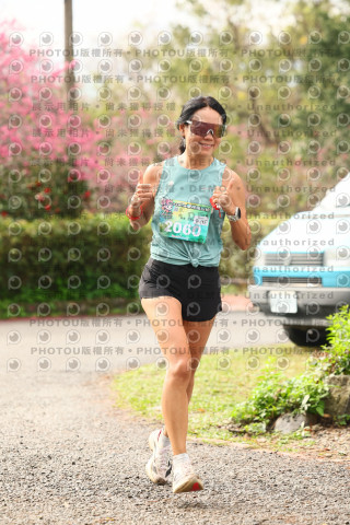 2026左岸竹東櫻花馬拉松Zhudong Sakura Marathon