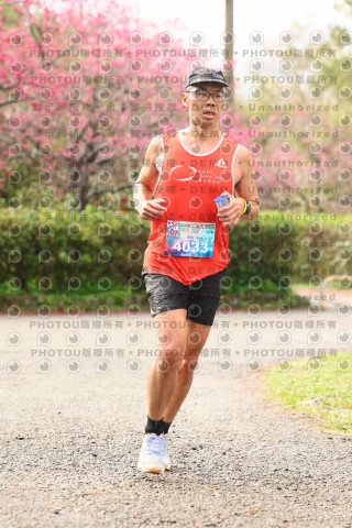 2026左岸竹東櫻花馬拉松Zhudong Sakura Marathon