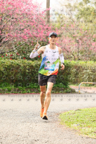 2026左岸竹東櫻花馬拉松Zhudong Sakura Marathon