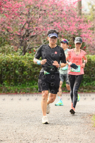 2026左岸竹東櫻花馬拉松Zhudong Sakura Marathon