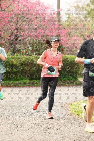 2026左岸竹東櫻花馬拉松Zhudong Sakura Marathon