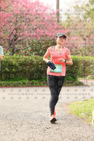 2026左岸竹東櫻花馬拉松Zhudong Sakura Marathon