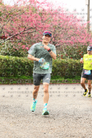 2026左岸竹東櫻花馬拉松Zhudong Sakura Marathon