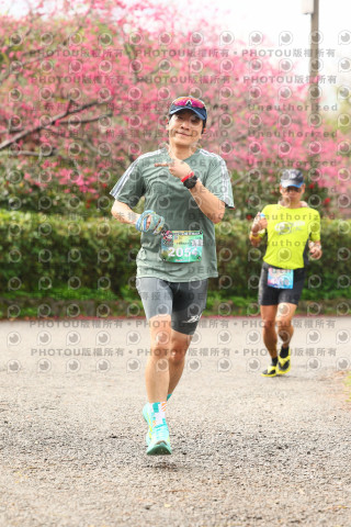 2026左岸竹東櫻花馬拉松Zhudong Sakura Marathon