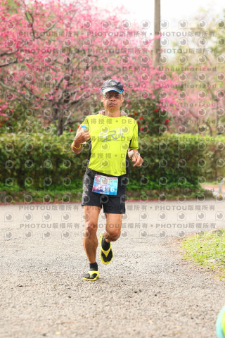 2026左岸竹東櫻花馬拉松Zhudong Sakura Marathon