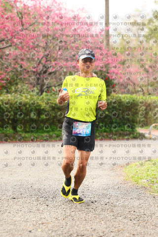 2026左岸竹東櫻花馬拉松Zhudong Sakura Marathon