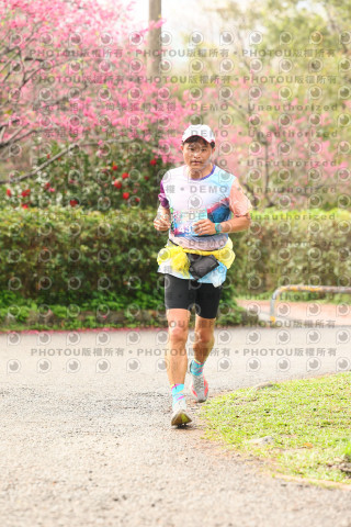 2026左岸竹東櫻花馬拉松Zhudong Sakura Marathon