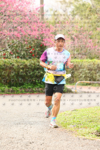 2026左岸竹東櫻花馬拉松Zhudong Sakura Marathon